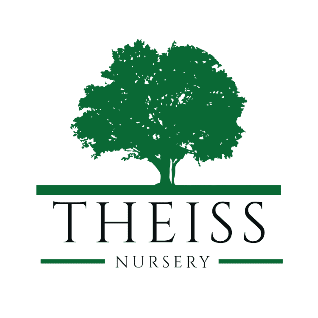 Nursery Logo